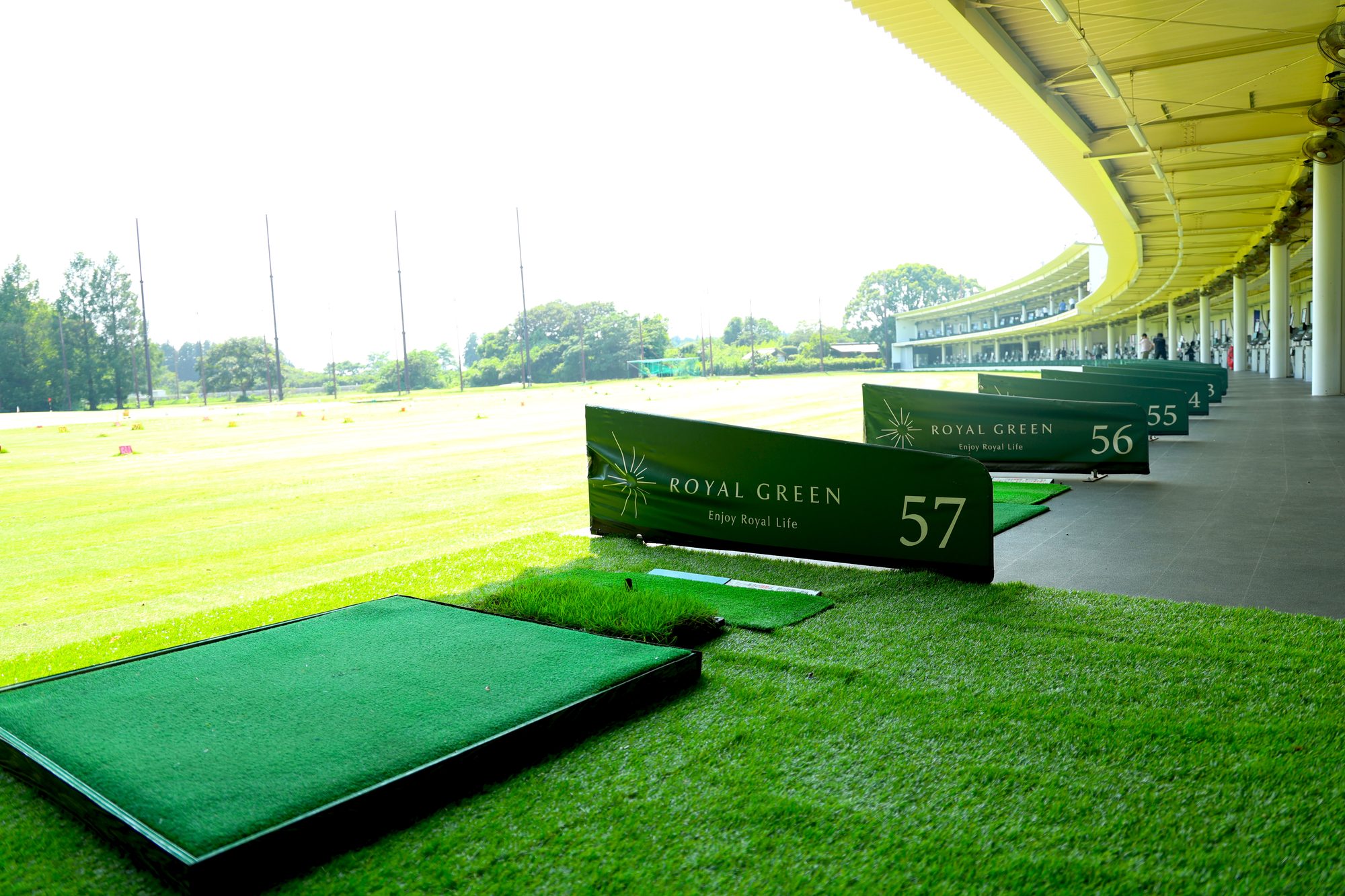 ROYAL GREEN 57番打席 天然芝プレート設置風景